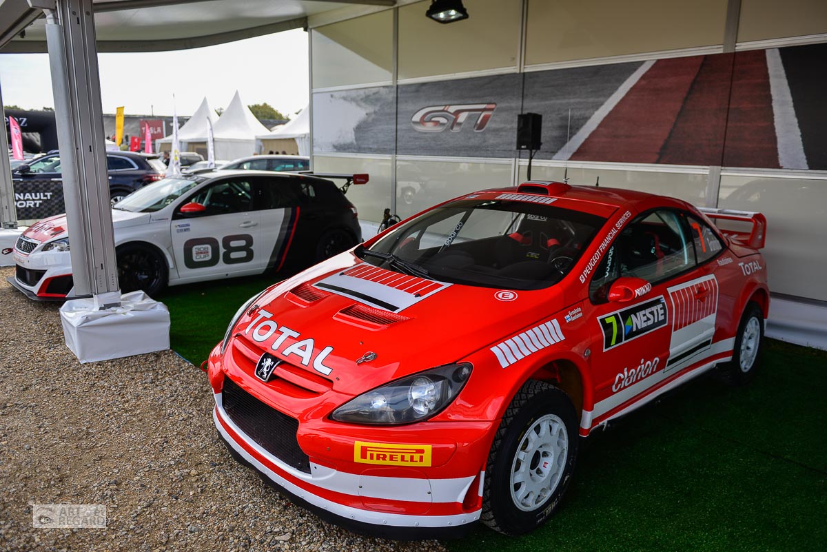 Peugeot 307 WRC montlhéry,peugeot,307 WRC